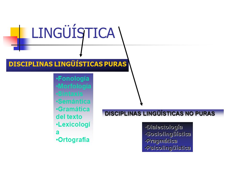 LINGÜÍSTICA DISCIPLINAS LINGÜÍSTICAS PURAS Fonología Morfología