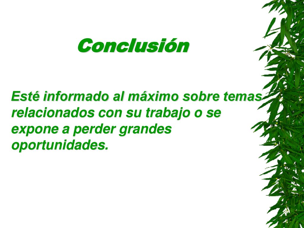Conclusión Esté informado al máximo sobre temas relacionados con su trabajo o se expone a perder grandes oportunidades.
