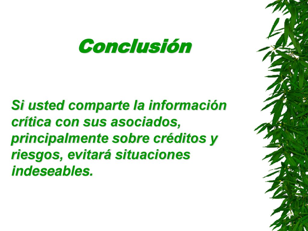 Conclusión Si usted comparte la información crítica con sus asociados, principalmente sobre créditos y riesgos, evitará situaciones indeseables.