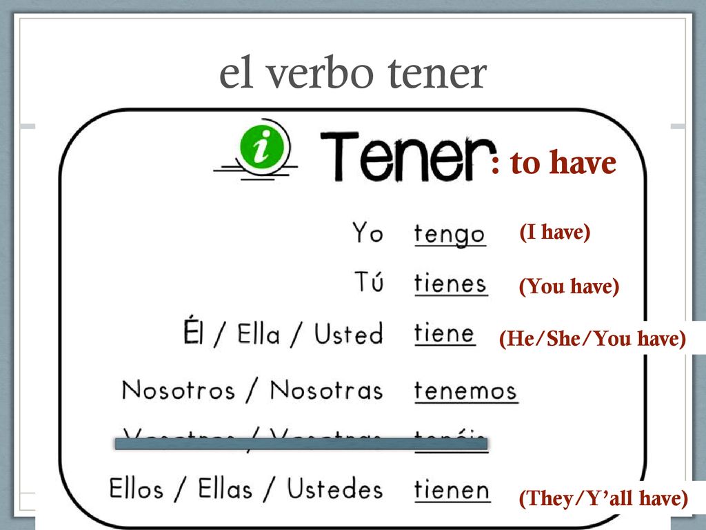 el verbo tener : to have (I have) (You have) (He/She/You have)
