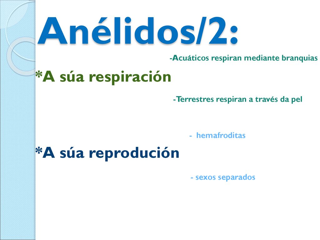 Anélidos/2: *A súa respiración *A súa reprodución - sexos separados