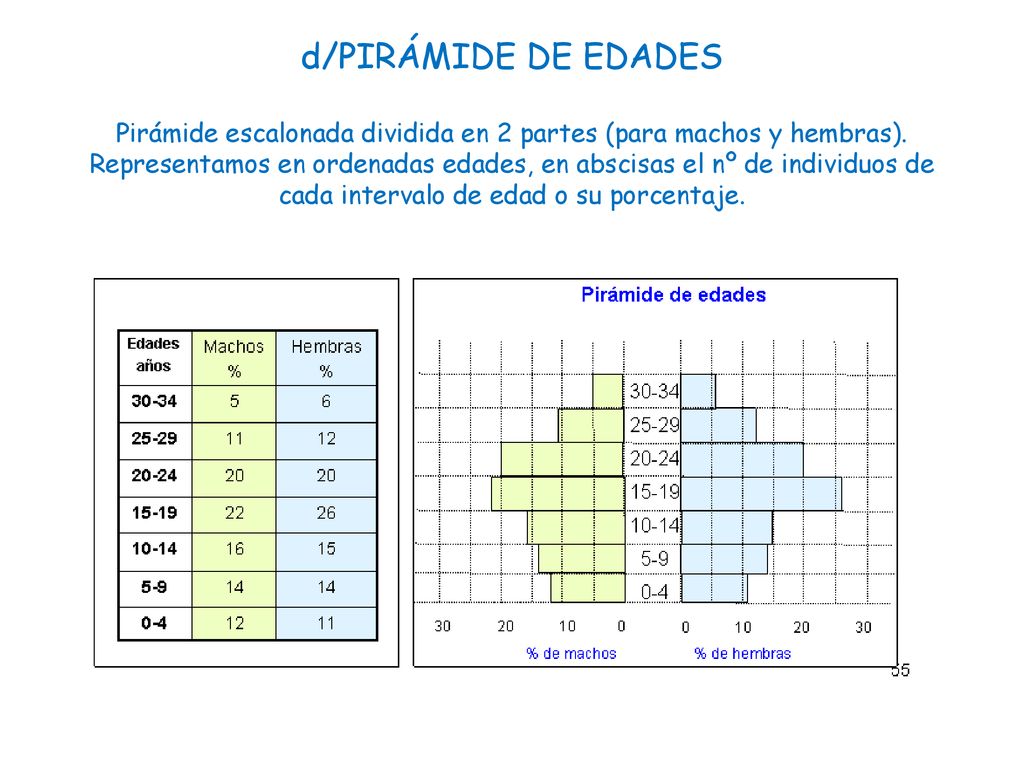 d/PIRÁMIDE DE EDADES Pirámide escalonada dividida en 2 partes (para machos y hembras).