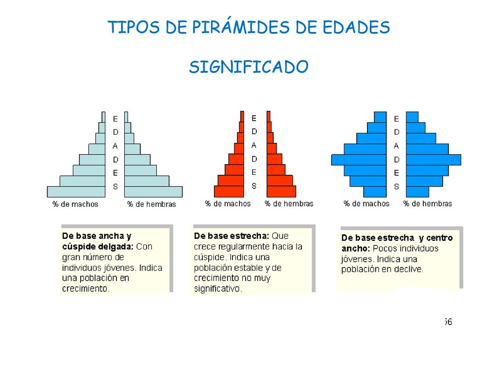 TIPOS DE PIRÁMIDES DE EDADES SIGNIFICADO
