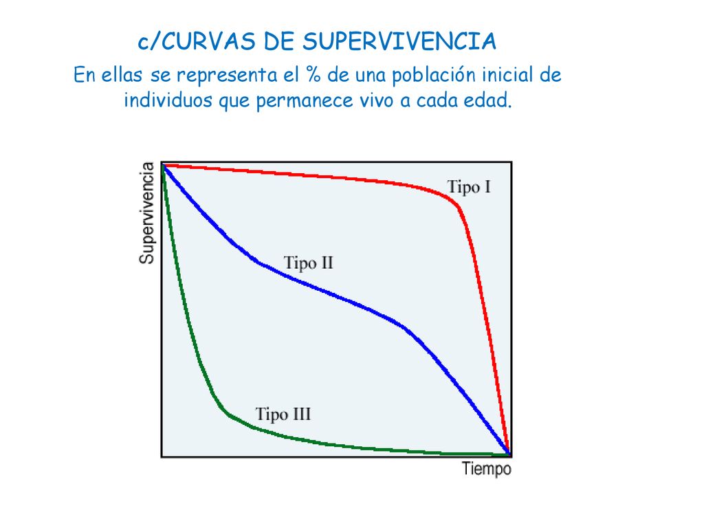 c/CURVAS DE SUPERVIVENCIA En ellas se representa el % de una población inicial de individuos que permanece vivo a cada edad.