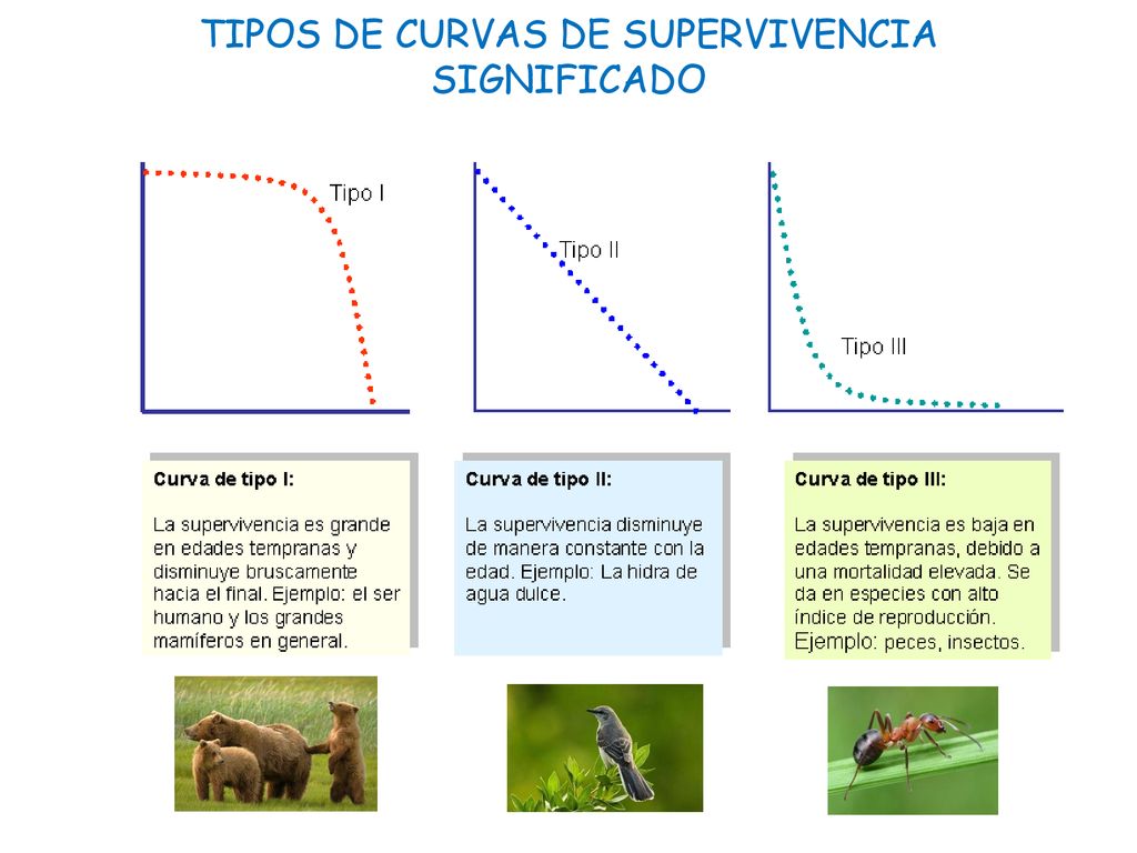 TIPOS DE CURVAS DE SUPERVIVENCIA SIGNIFICADO