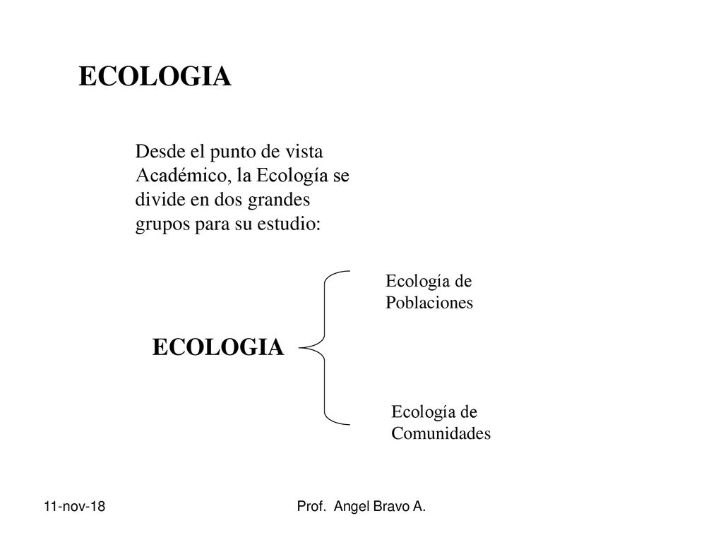 ECOLOGIA Desde el punto de vista Académico, la Ecología se divide en dos grandes grupos para su estudio: