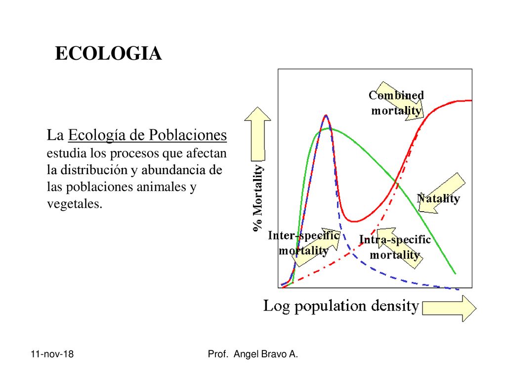 ECOLOGIA La Ecología de Poblaciones estudia los procesos que afectan la distribución y abundancia de las poblaciones animales y vegetales.
