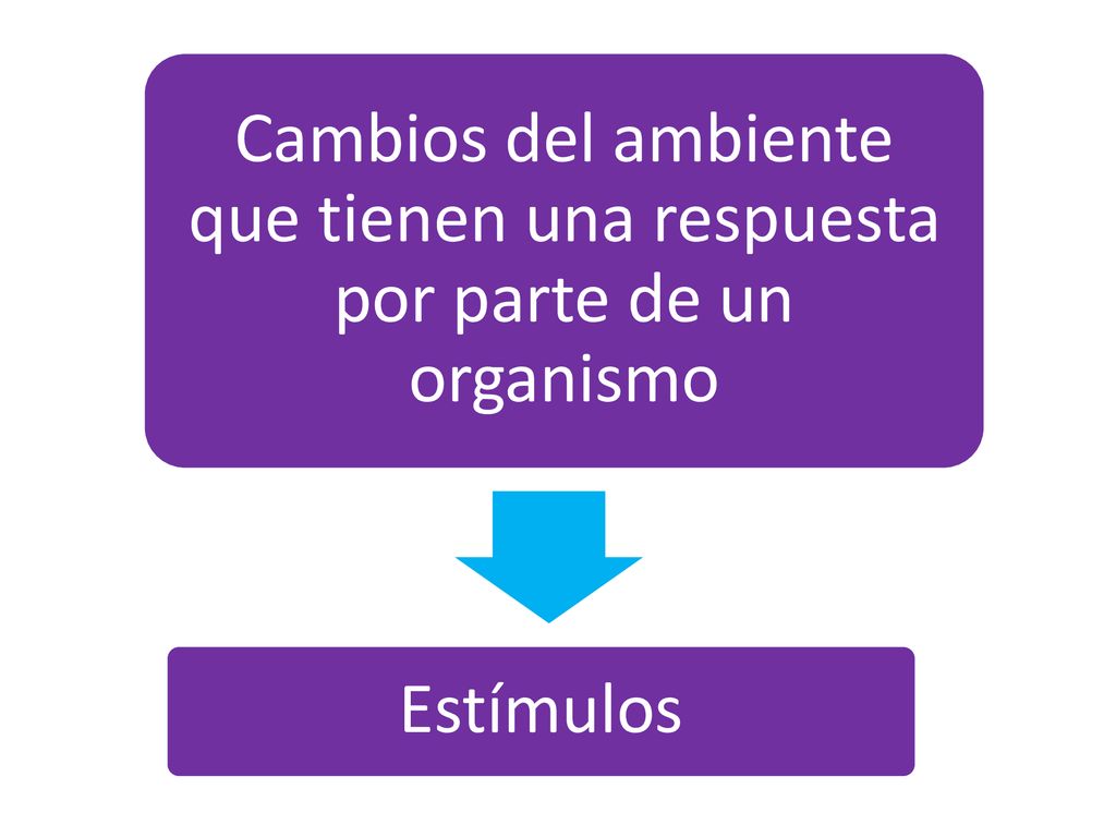 Estímulos Cambios del ambiente que tienen una respuesta por parte de un organismo