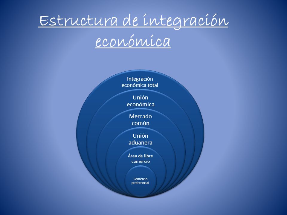 Estructura de integración económica
