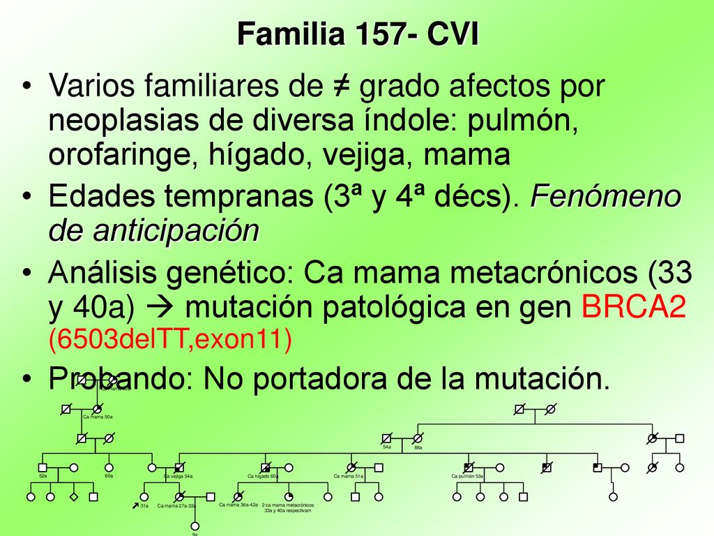 Familia 157- CVI Varios familiares de ≠ grado afectos por neoplasias de diversa índole: pulmón, orofaringe, hígado, vejiga, mama.
