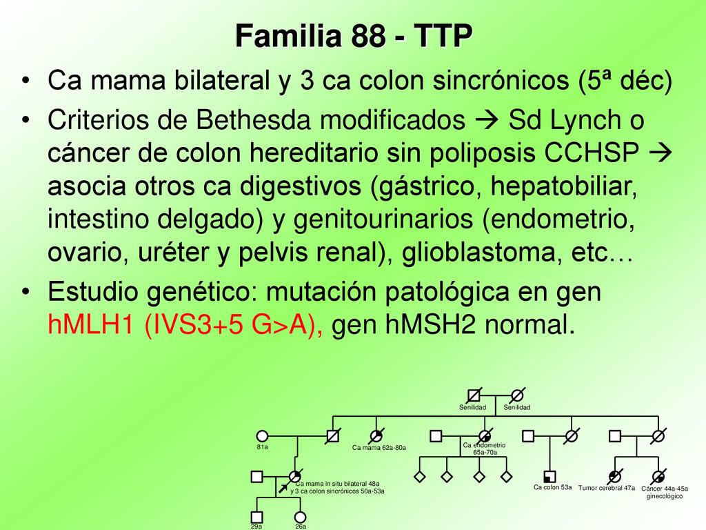 Familia 88 - TTP Ca mama bilateral y 3 ca colon sincrónicos (5ª déc)