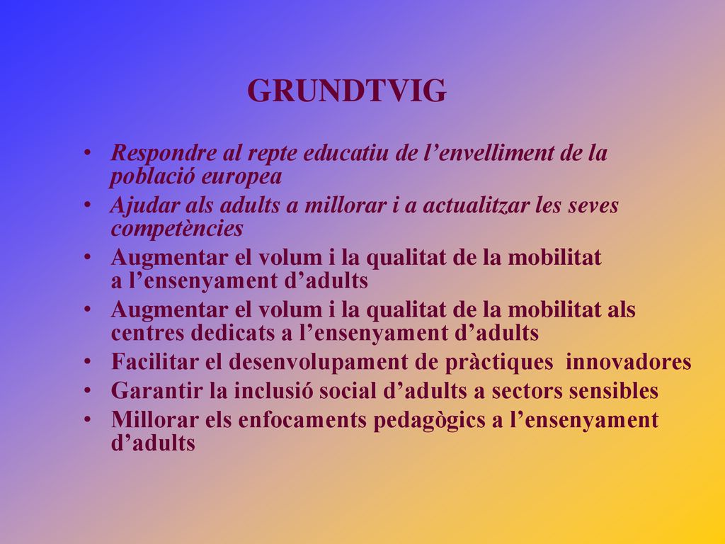 GRUNDTVIG Respondre al repte educatiu de l’envelliment de la població europea. Ajudar als adults a millorar i a actualitzar les seves competències.