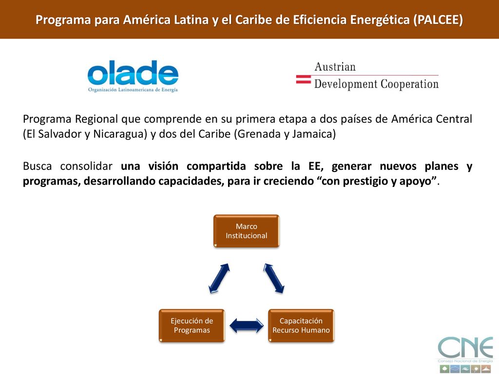 Programa para América Latina y el Caribe de Eficiencia Energética (PALCEE)