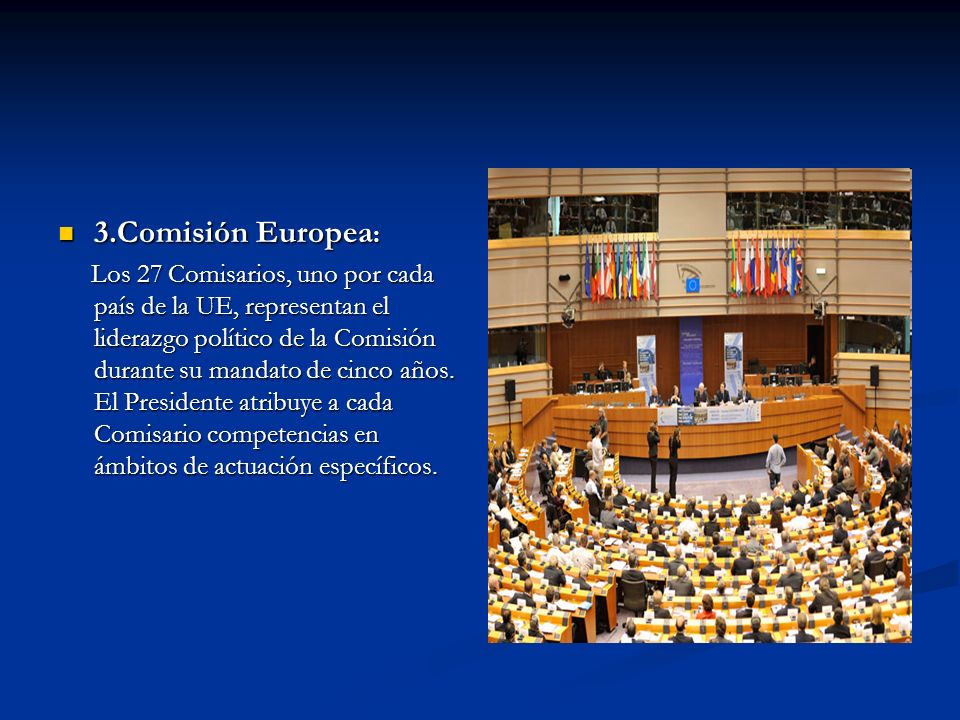 3.Comisión Europea: