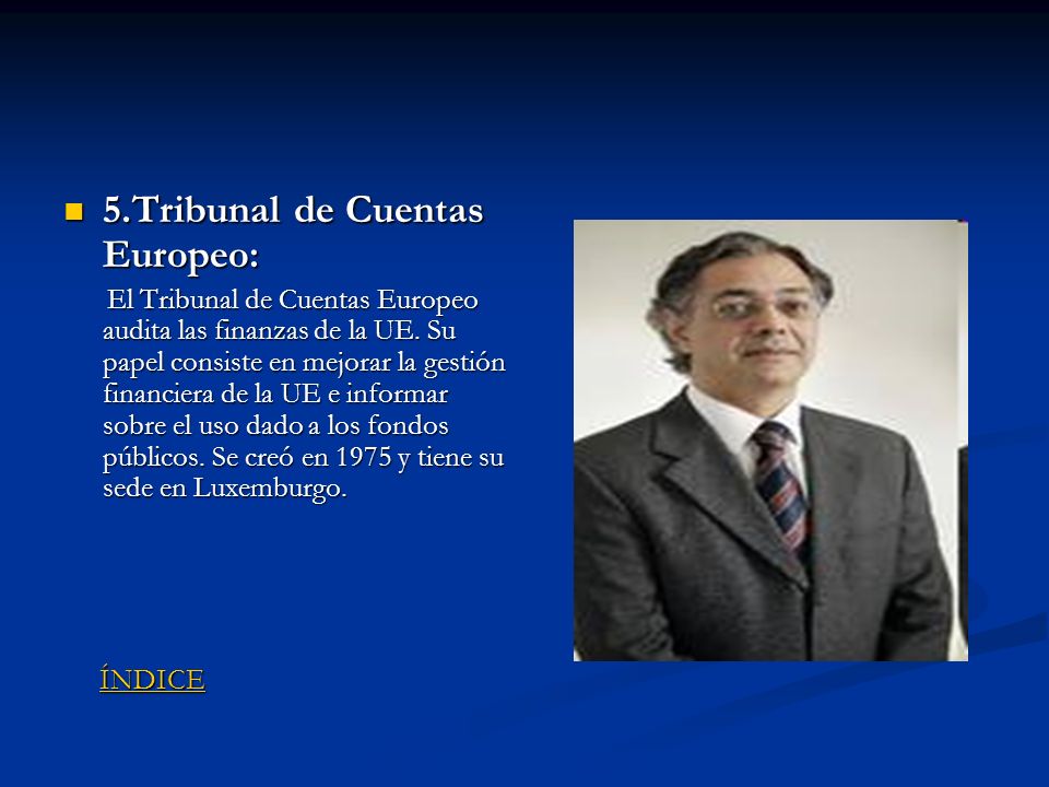 5.Tribunal de Cuentas Europeo: