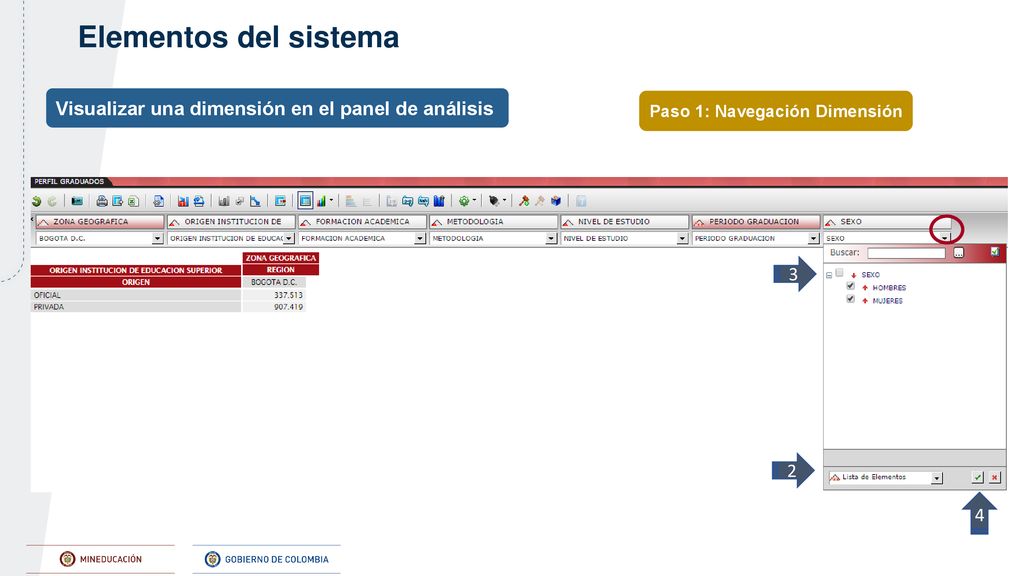 Elementos del sistema Visualizar una dimensión en el panel de análisis