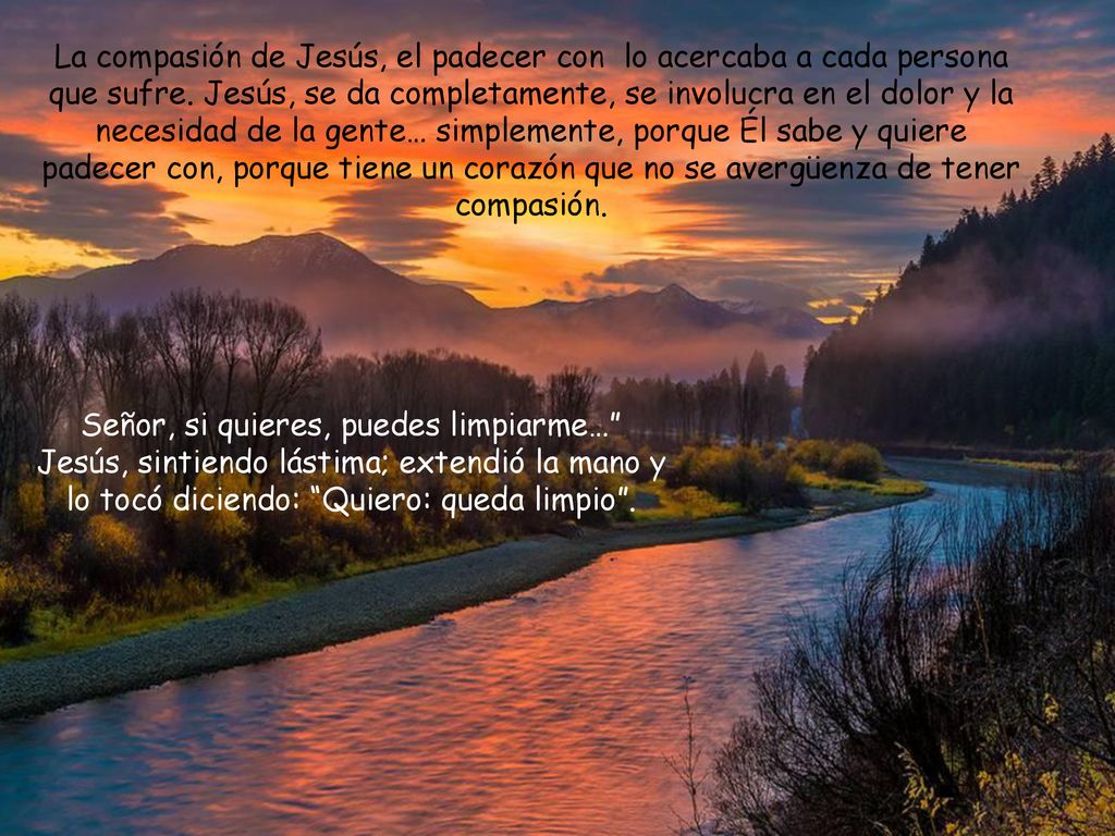 La compasión de Jesús, el padecer con lo acercaba a cada persona que sufre. Jesús, se da completamente, se involucra en el dolor y la necesidad de la gente… simplemente, porque Él sabe y quiere padecer con, porque tiene un corazón que no se avergüenza de tener compasión.