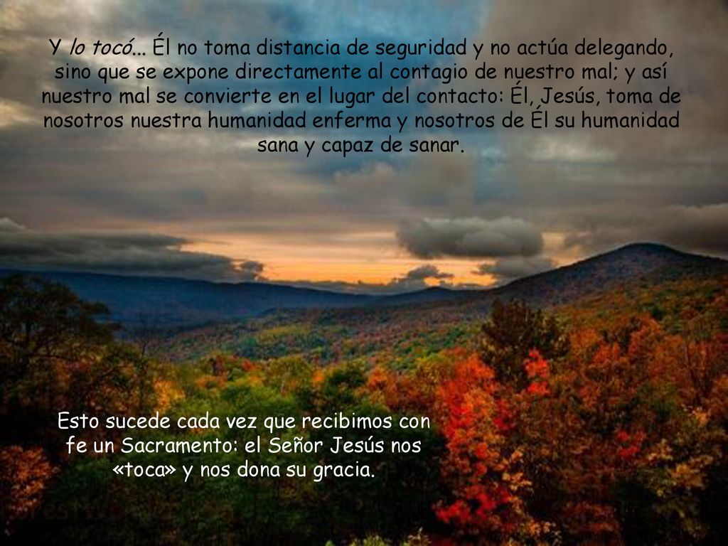 Y lo tocó... Él no toma distancia de seguridad y no actúa delegando, sino que se expone directamente al contagio de nuestro mal; y así nuestro mal se convierte en el lugar del contacto: Él, Jesús, toma de nosotros nuestra humanidad enferma y nosotros de Él su humanidad sana y capaz de sanar.