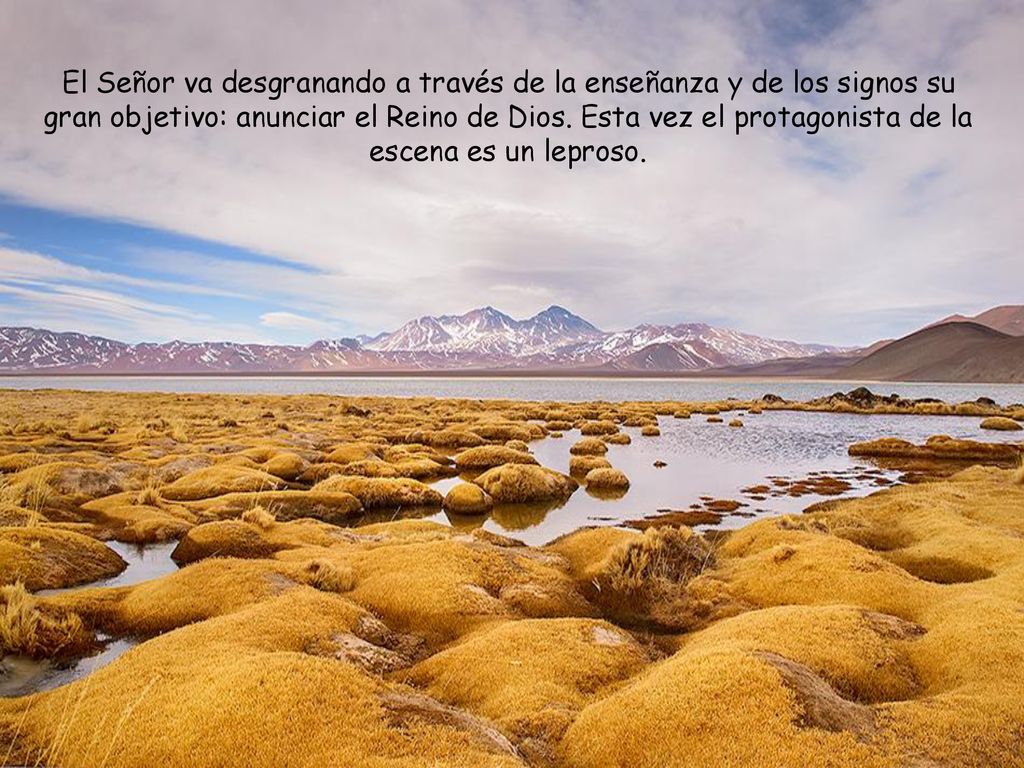 El Señor va desgranando a través de la enseñanza y de los signos su gran objetivo: anunciar el Reino de Dios.