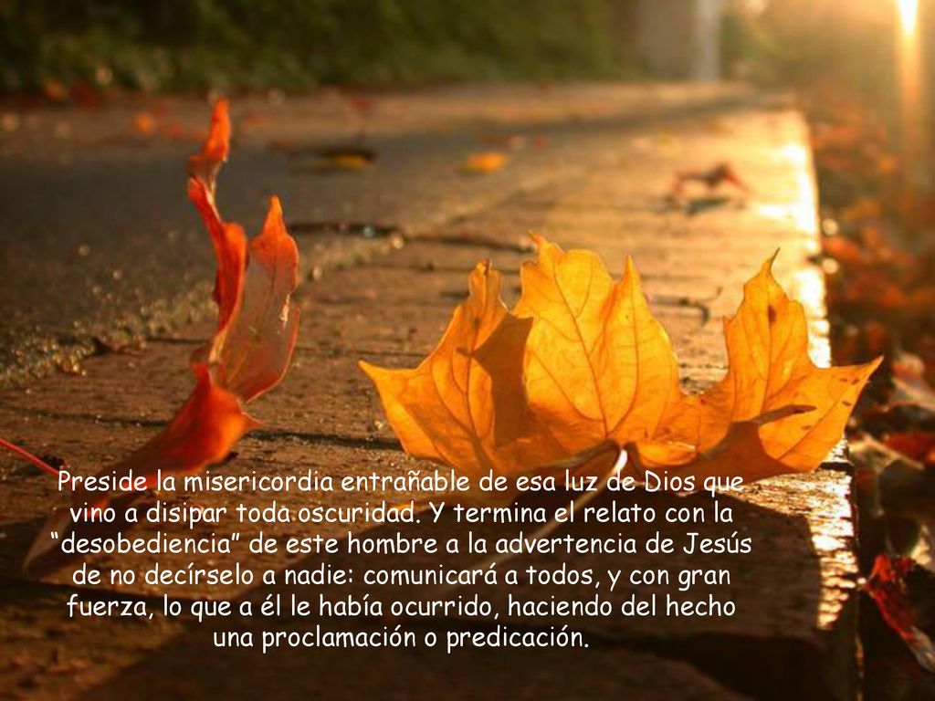 Preside la misericordia entrañable de esa luz de Dios que vino a disipar toda oscuridad.