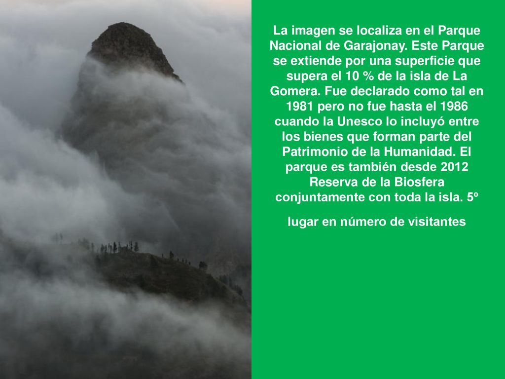 La imagen se localiza en el Parque Nacional de Garajonay