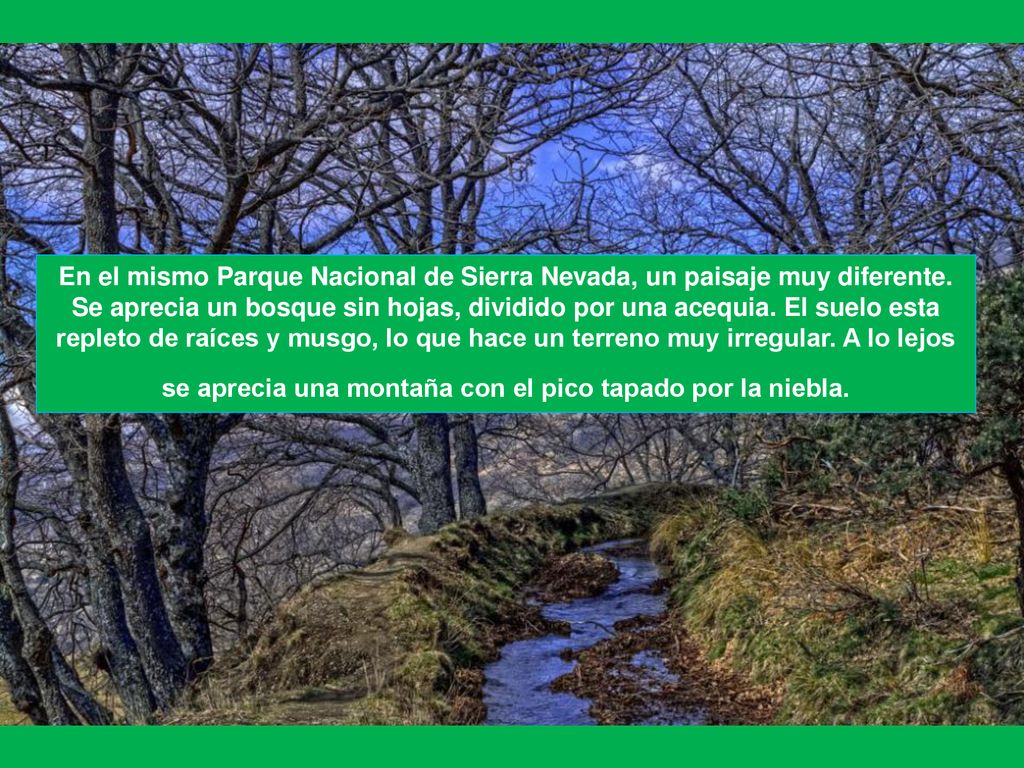 En el mismo Parque Nacional de Sierra Nevada, un paisaje muy diferente