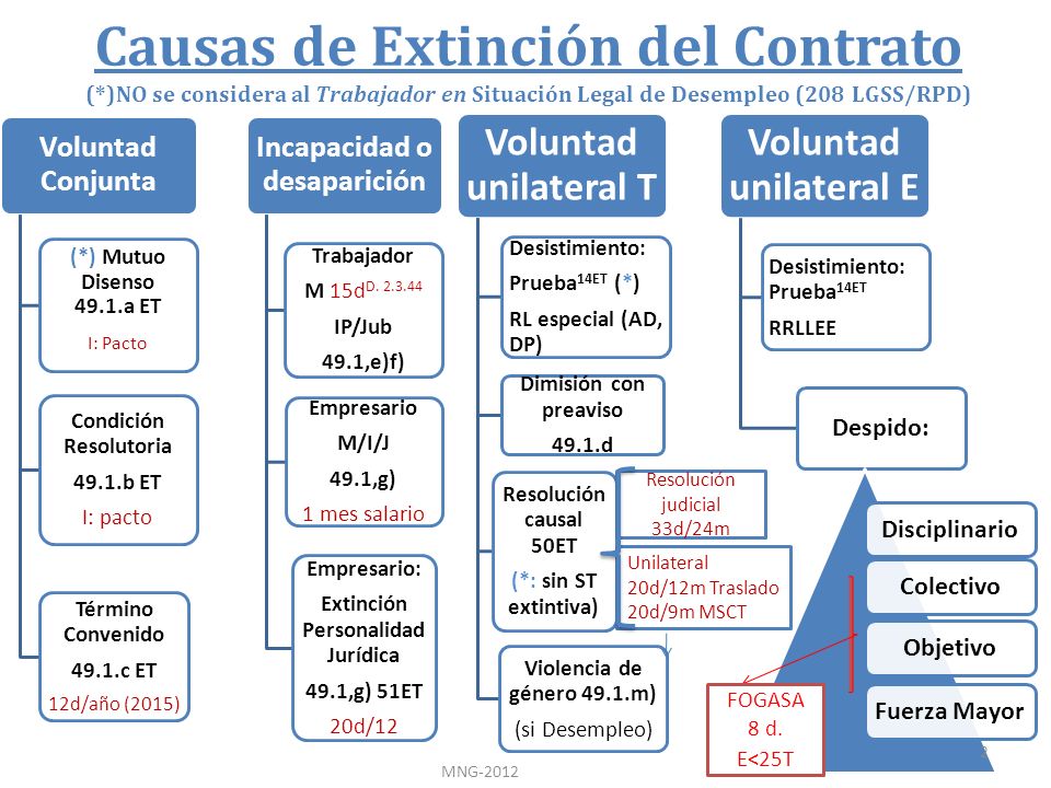 Resolución judicial 33d/24m