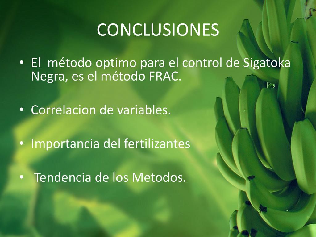 CONCLUSIONES El método optimo para el control de Sigatoka Negra, es el método FRAC. Correlacion de variables.