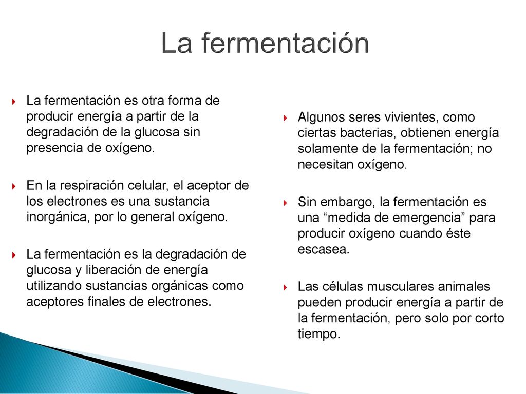 La fermentación La fermentación es otra forma de producir energía a partir de la degradación de la glucosa sin presencia de oxígeno.
