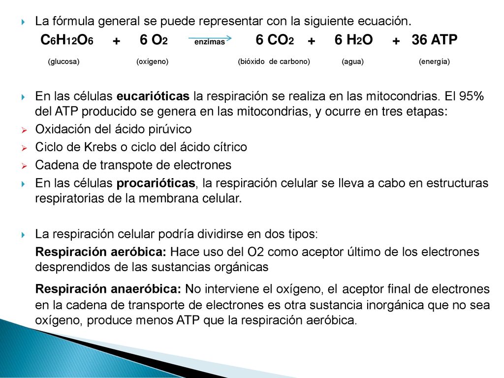 C6H12O6 + 6 O2 enzimas 6 CO2 + 6 H2O + 36 ATP