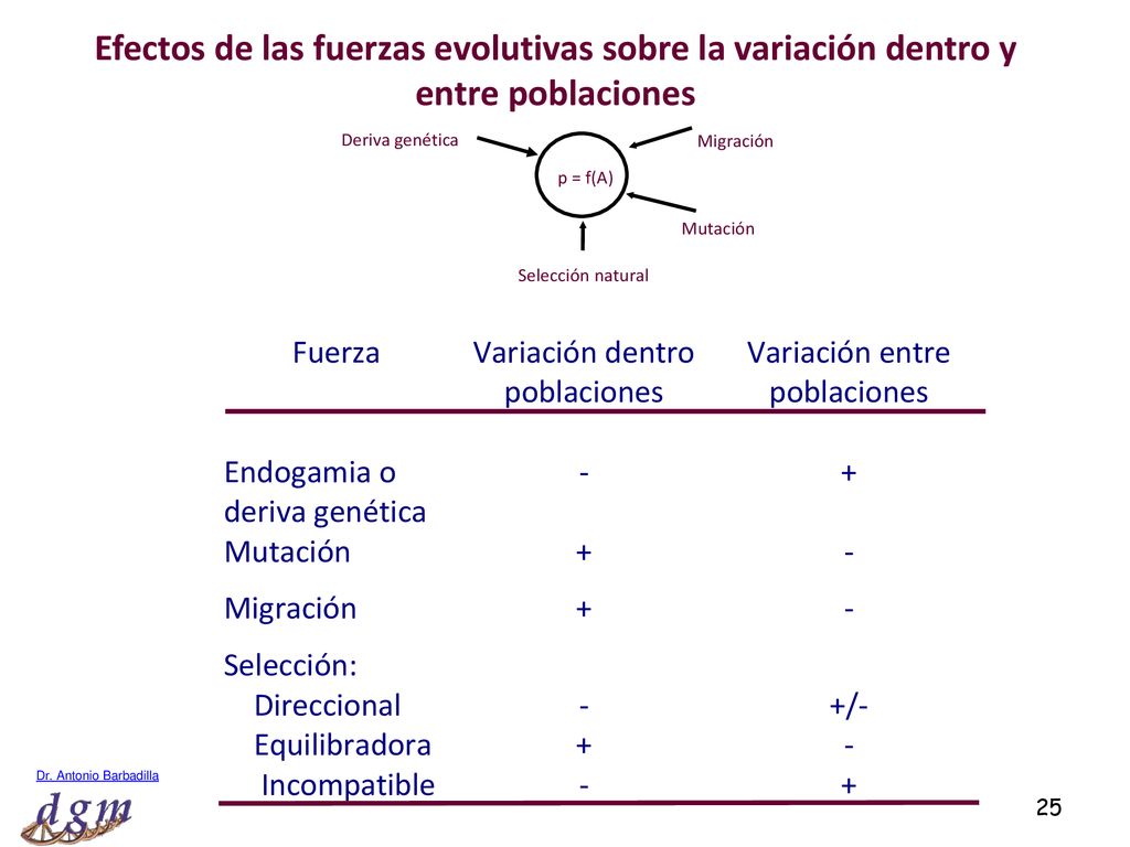 Efectos de las fuerzas evolutivas sobre la variación dentro y entre poblaciones