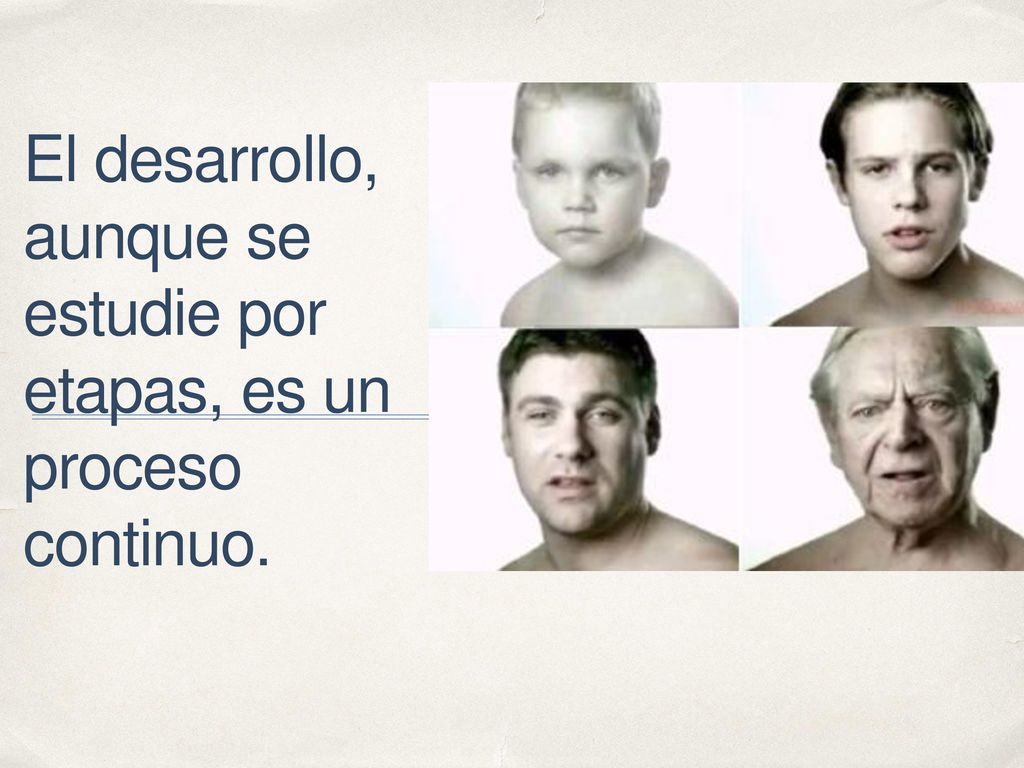 El desarrollo, aunque se estudie por etapas, es un proceso continuo.