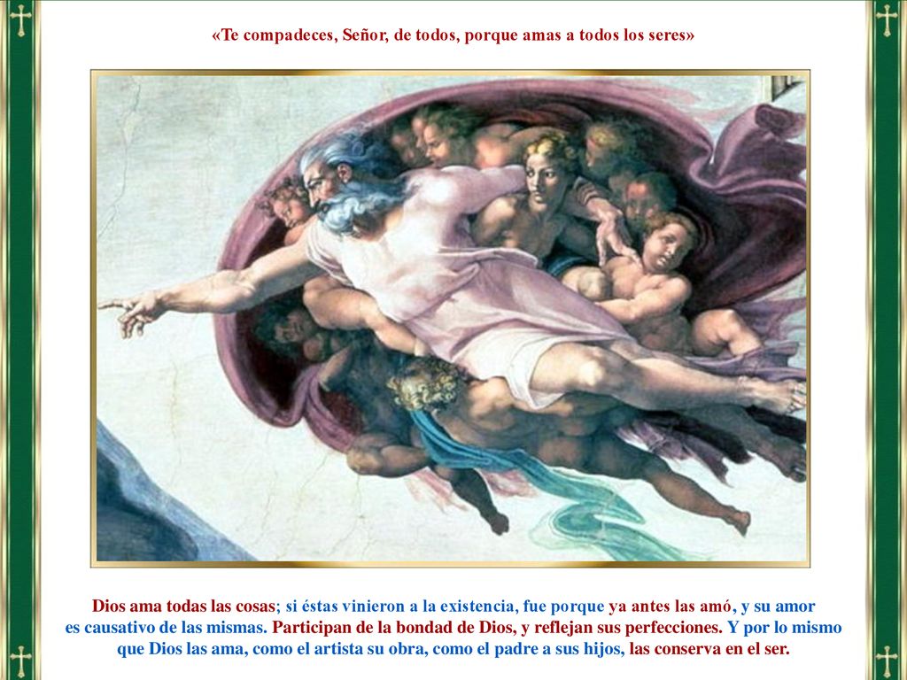 «Te compadeces, Señor, de todos, porque amas a todos los seres»