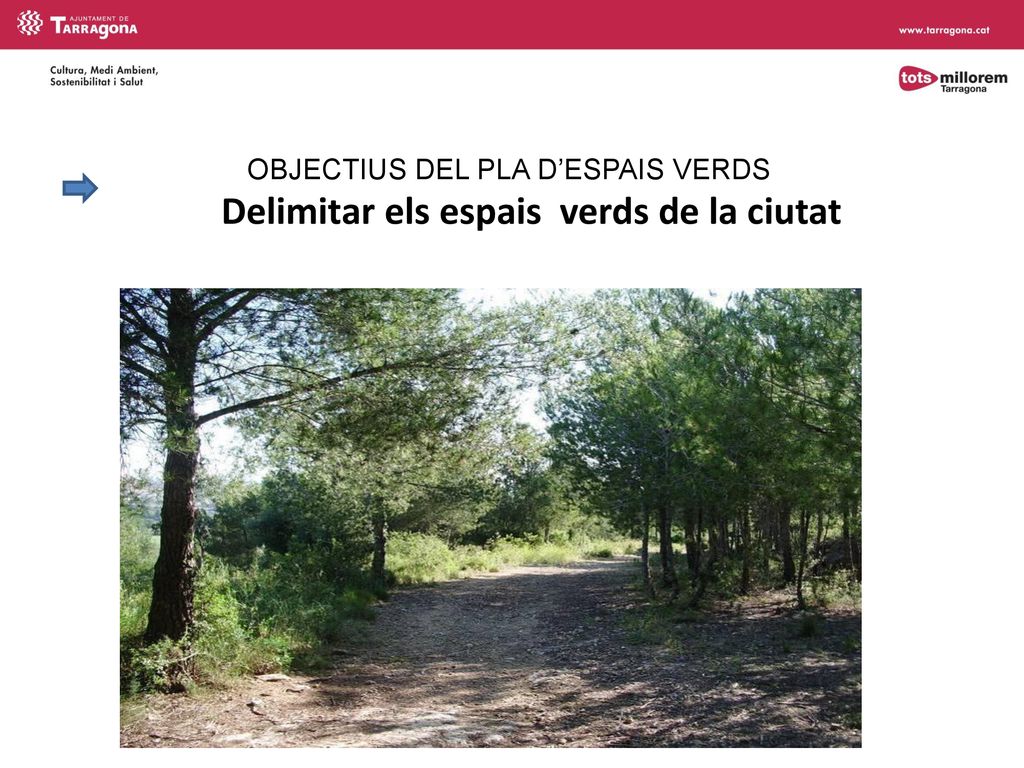 OBJECTIUS DEL PLA D’ESPAIS VERDS Delimitar els espais verds de la ciutat