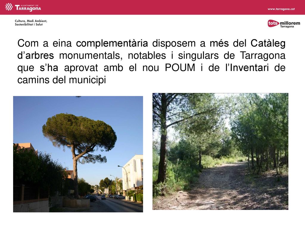Com a eina complementària disposem a més del Catàleg d’arbres monumentals, notables i singulars de Tarragona que s’ha aprovat amb el nou POUM i de l’Inventari de camins del municipi