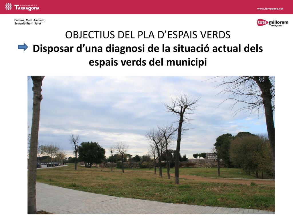 OBJECTIUS DEL PLA D’ESPAIS VERDS Disposar d’una diagnosi de la situació actual dels espais verds del municipi