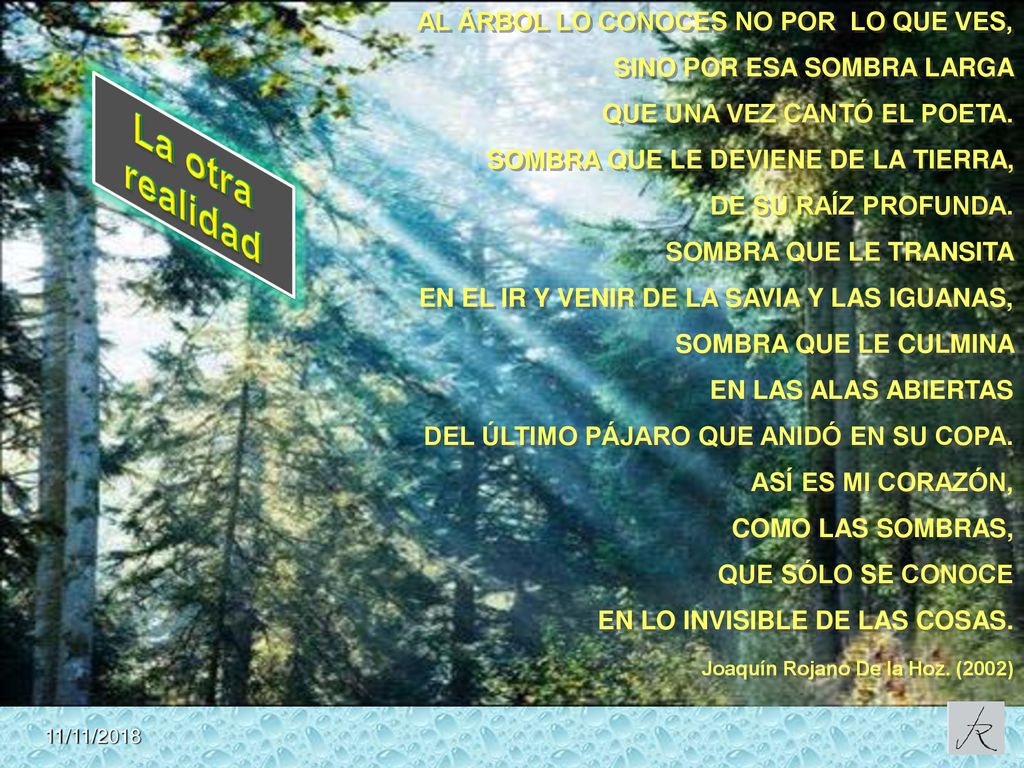 La otra realidad AL ÁRBOL LO CONOCES NO POR LO QUE VES,