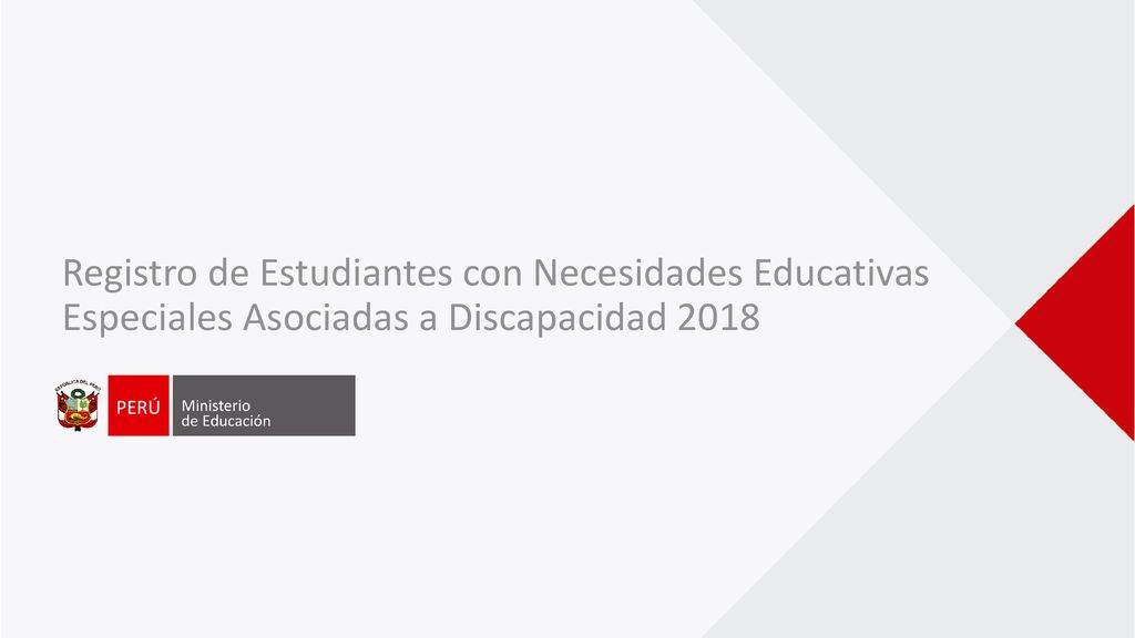 Registro de Estudiantes con Necesidades Educativas Especiales Asociadas a Discapacidad 2018