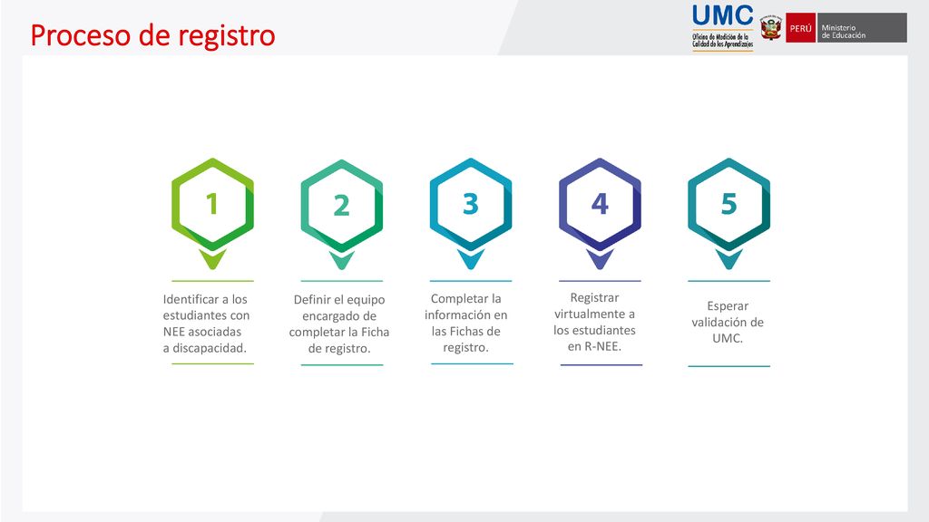 Proceso de registro Identificar a los estudiantes con NEE asociadas a discapacidad. Definir el equipo encargado de completar la Ficha de registro.