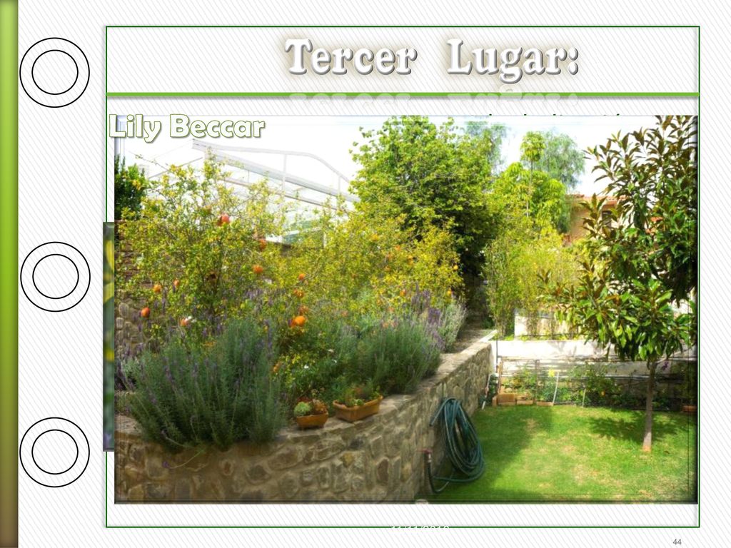 Tercer Lugar: Lily Beccar. A la dedicación, y fomento a la biodiversidad de frutales, en Jardín de vivienda, con producción de frutos enormes.