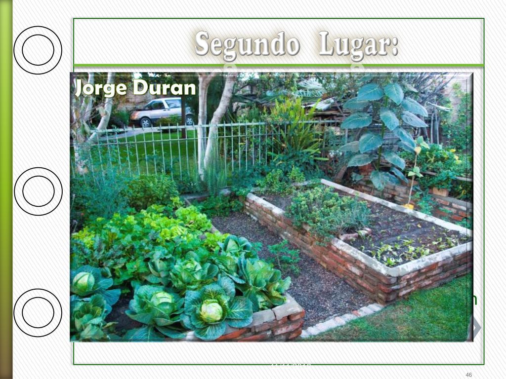 Segundo Lugar: Jorge Duran. A la dedicación, y fomento a la biodiversidad de frutales, verduras en Jardín de vivienda, con producción excelente.