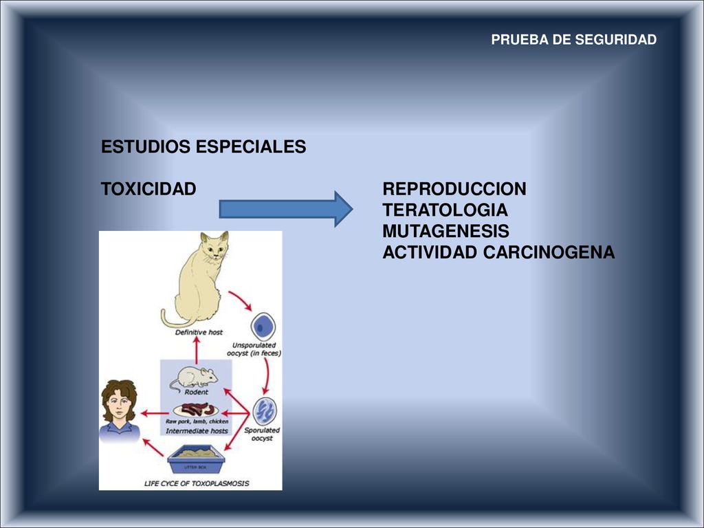 TOXICIDAD REPRODUCCION TERATOLOGIA MUTAGENESIS ACTIVIDAD CARCINOGENA