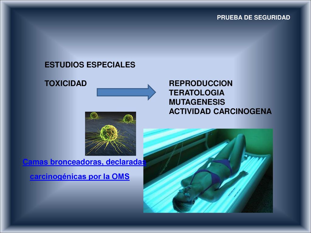 TOXICIDAD REPRODUCCION TERATOLOGIA MUTAGENESIS ACTIVIDAD CARCINOGENA
