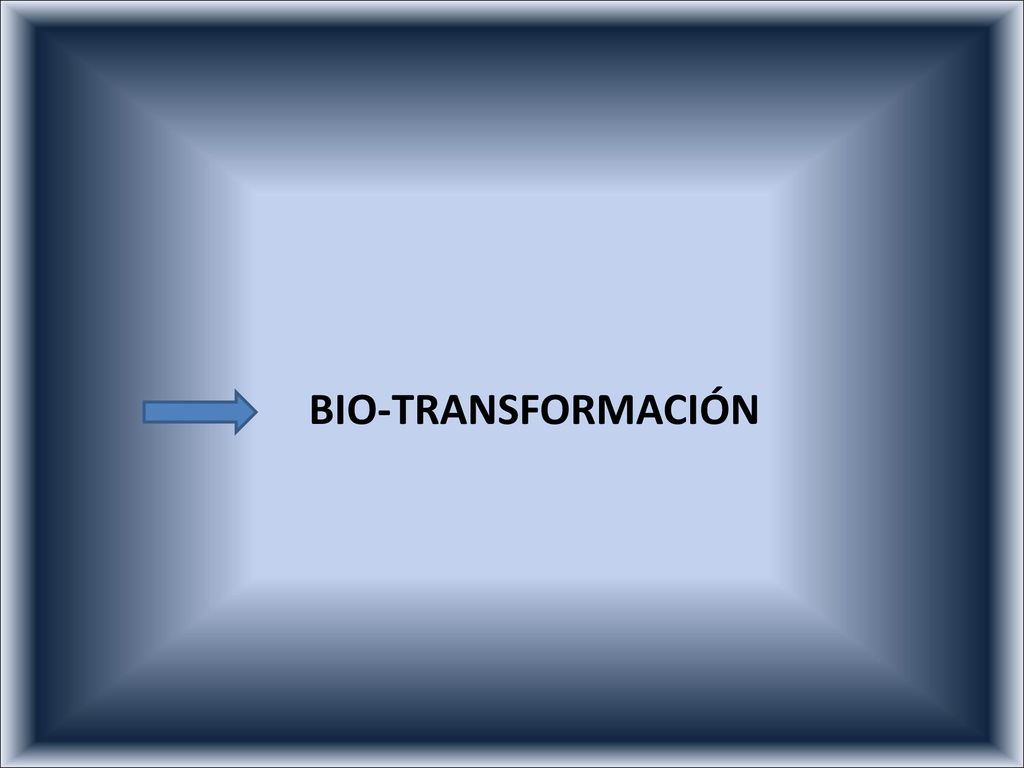 BIO-TRANSFORMACIÓN /D RVLV OHWDO / HV DTXHOOD FRQFHQWUDFLyQ GHO LQVHFWLFLGD TXH DO VHU.