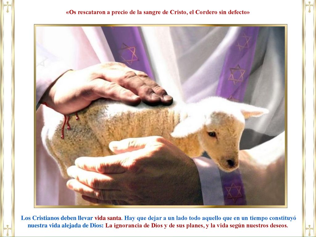 «Os rescataron a precio de la sangre de Cristo, el Cordero sin defecto»