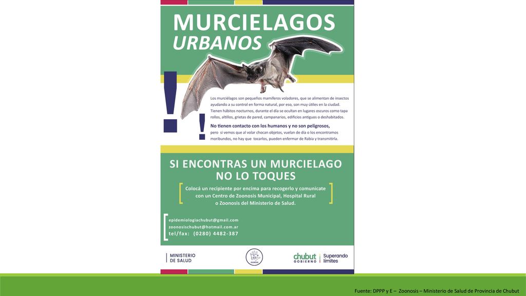 Fuente: DPPP y E – Zoonosis – Ministerio de Salud de Provincia de Chubut