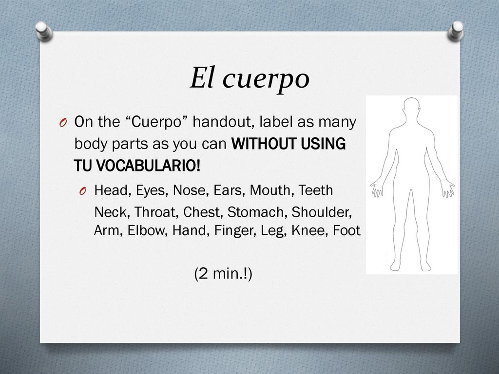 El cuerpo On the Cuerpo handout, label as many body parts as you can WITHOUT USING TU VOCABULARIO!