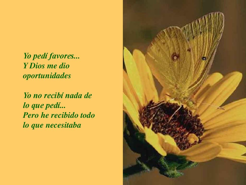 Yo pedí favores... Y Dios me dio oportunidades. Yo no recibí nada de lo que pedí...
