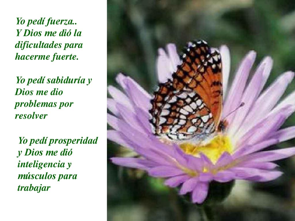 Yo pedí fuerza.. Y Dios me dió la dificultades para hacerme fuerte. Yo pedí sabiduría y Dios me dio problemas por resolver.