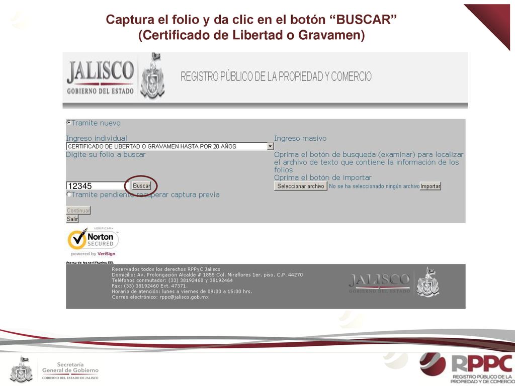 Captura el folio y da clic en el botón BUSCAR